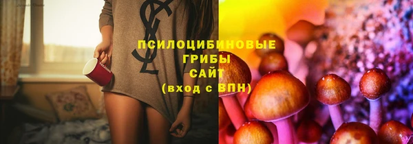 трава Богородицк