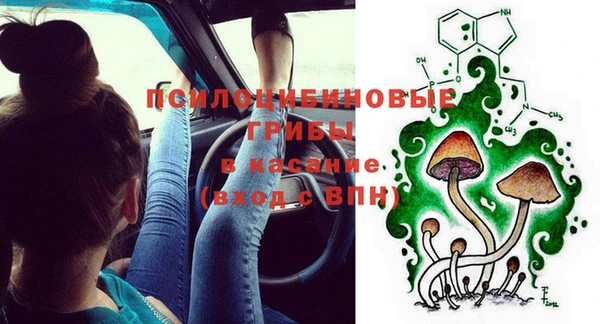 mdma Богданович