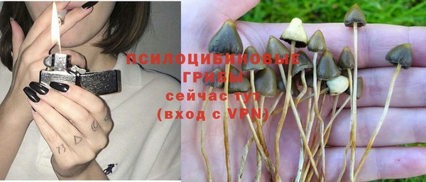 трава Богородицк