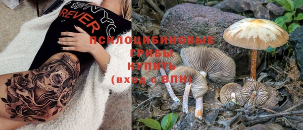 mdma Богданович