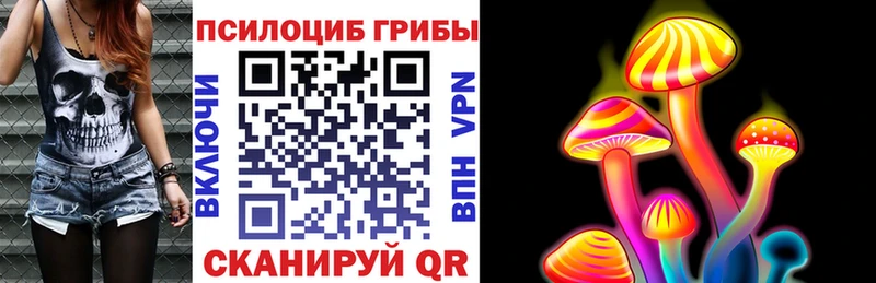 кракен онион  Долинск  Галлюциногенные грибы Psilocybine cubensis  где можно купить  